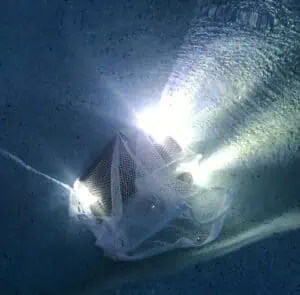 water testing tactical flashlights with a torch submerged underwater